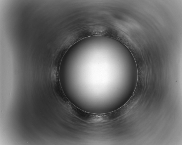 X0000094340083200711021458