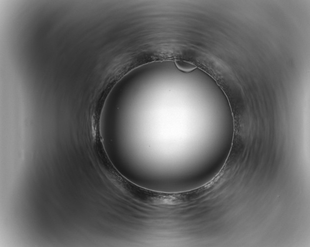 X0000094340086200711021458