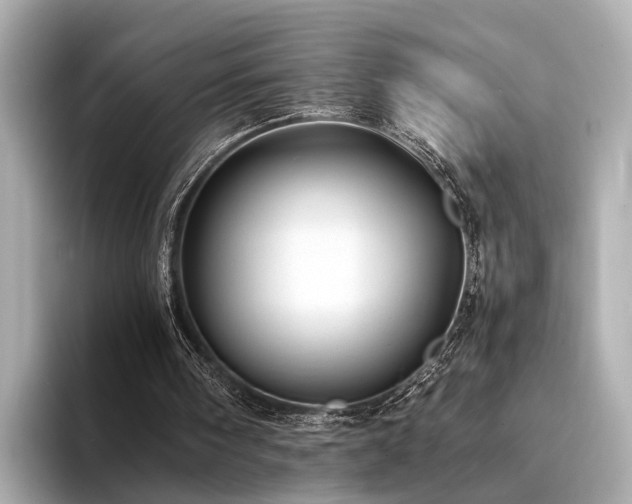 X0000094340098200711021458