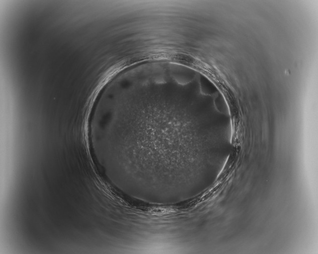 X0000094340099200711021458