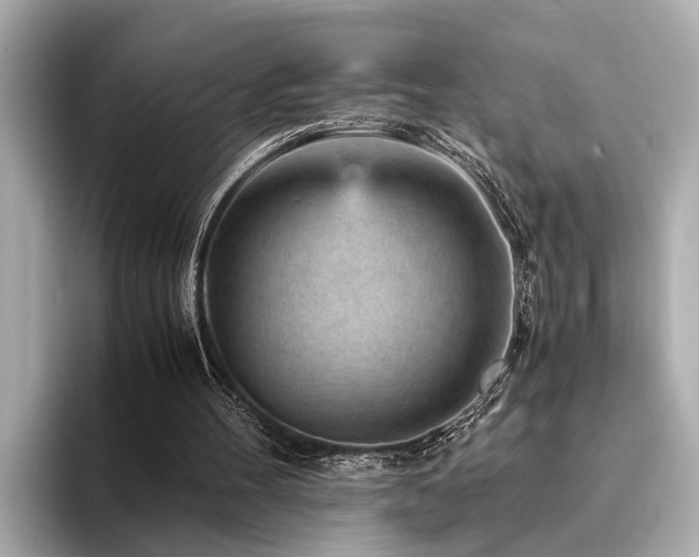 X0000094340100200711021458