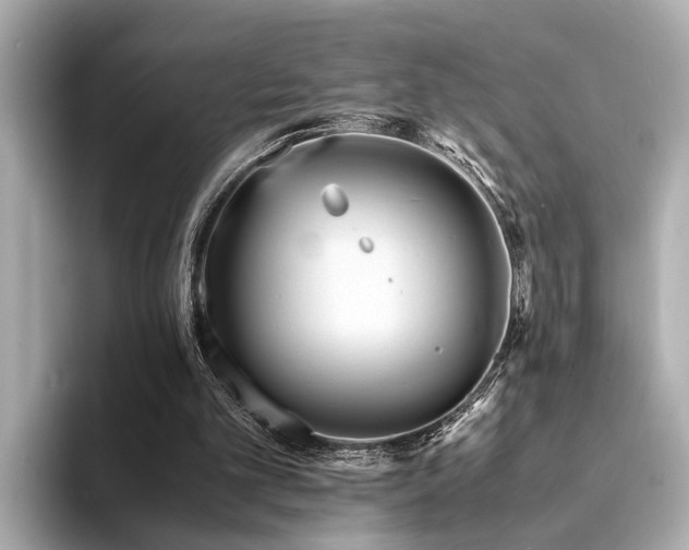 X0000094340101200711021458
