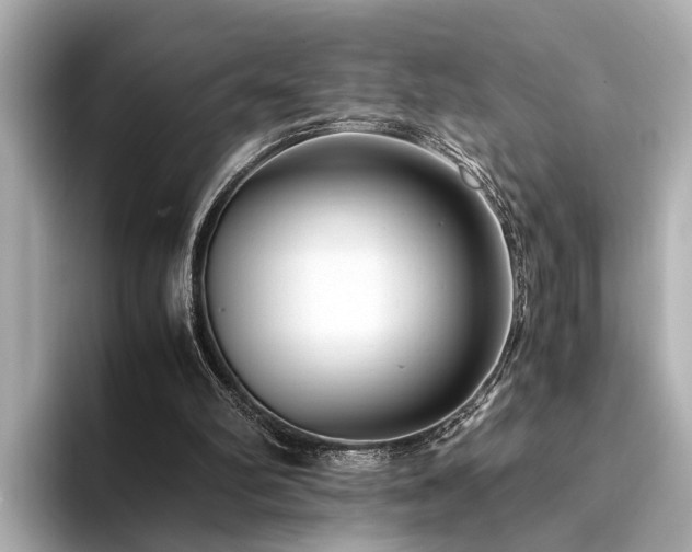X0000094340102200711021458