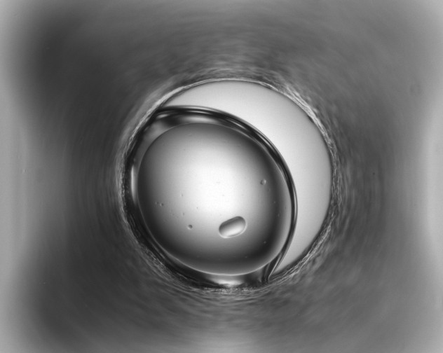 X0000094340103200711021458