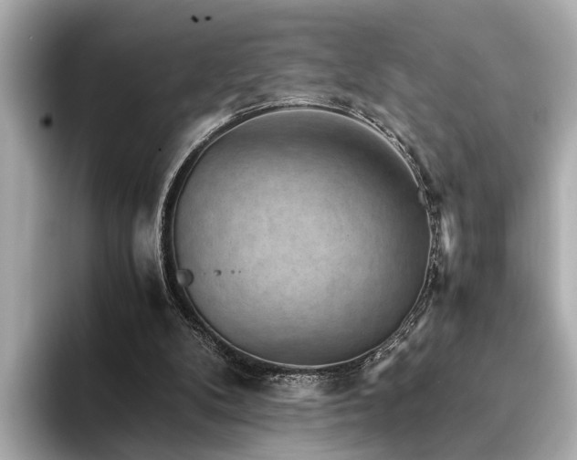 X0000094340104200711021458