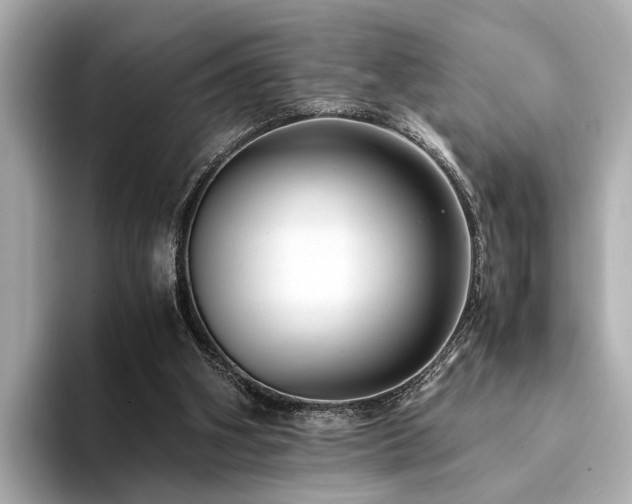 X0000094340106200711021458