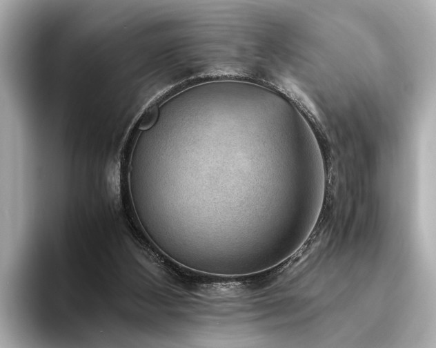 X0000094340108200711021458