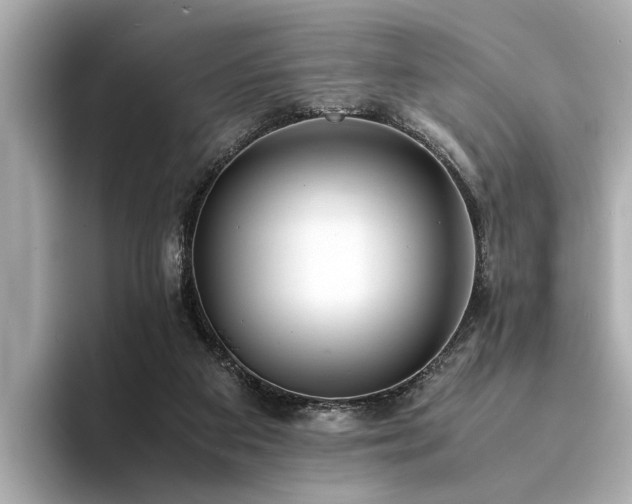 X0000094340113200711021458