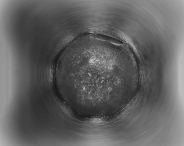 X0000094340114200711021458