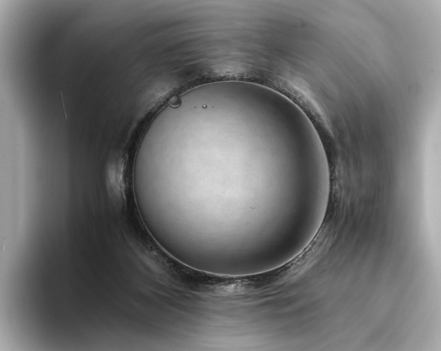 X0000094340116200711021458