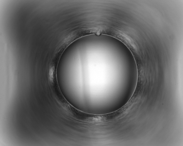 X0000094340118200711021458
