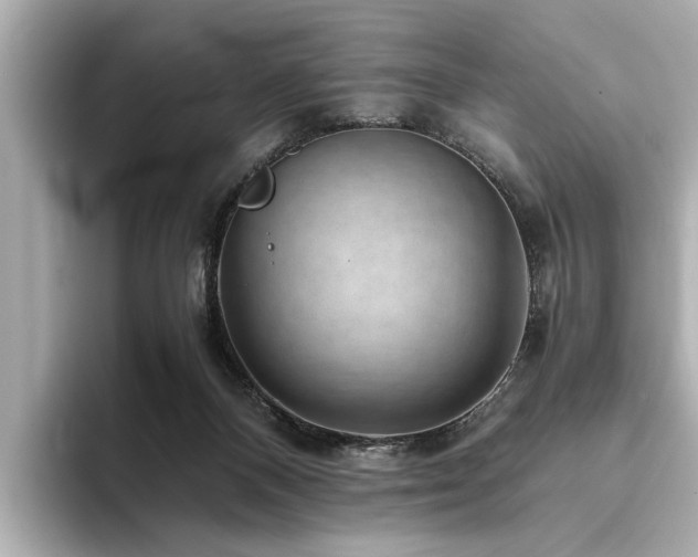 X0000094340120200711021458