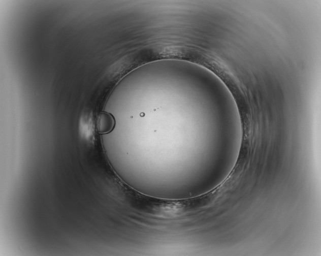X0000094340124200711021458