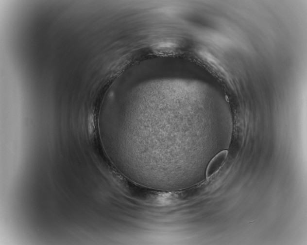X0000094340130200711021457