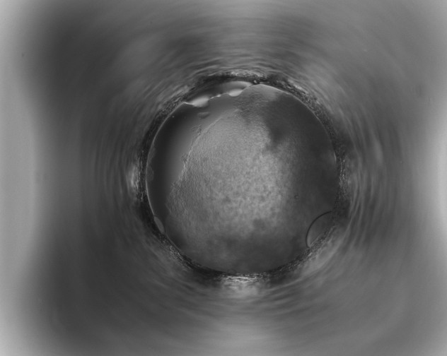 X0000094340139200711021457