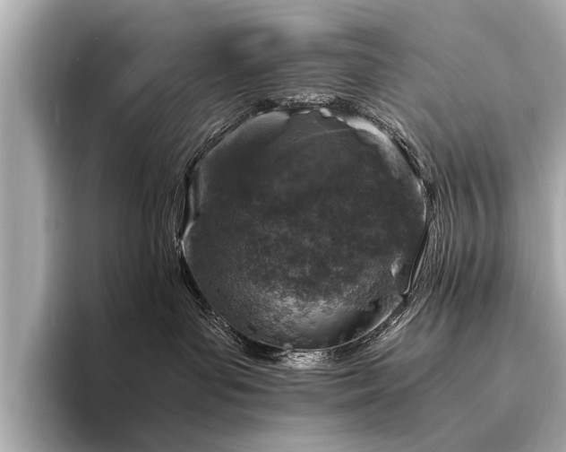 X0000094340143200711021457