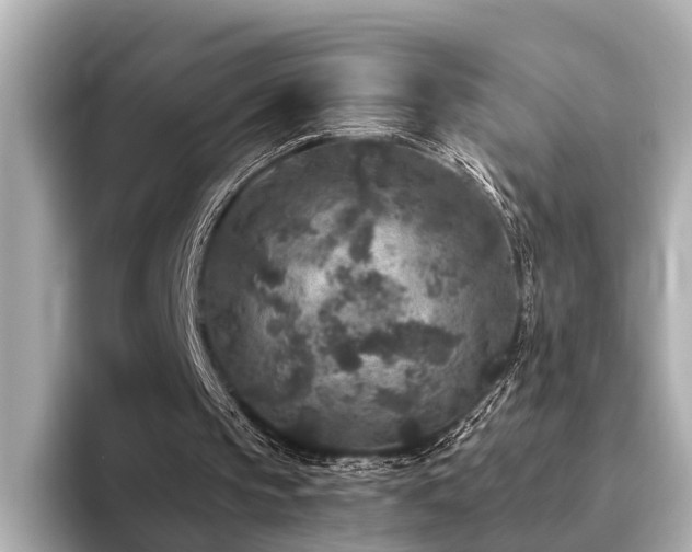 X0000094340145200711021457