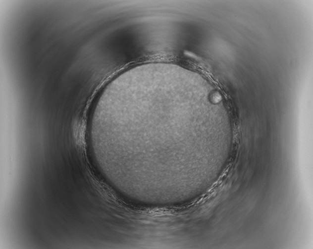 X0000094340146200711021457