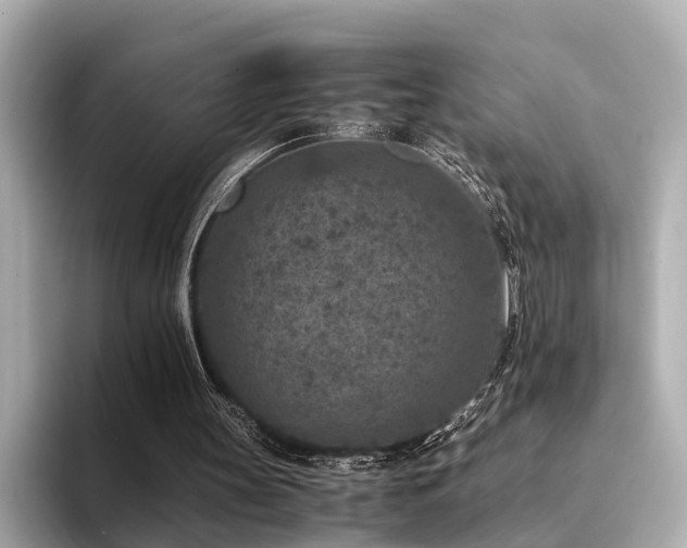 X0000094340147200711021457