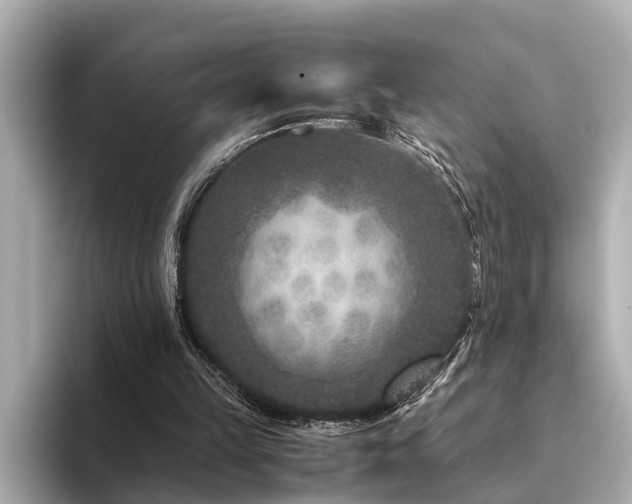 X0000094340149200711021457