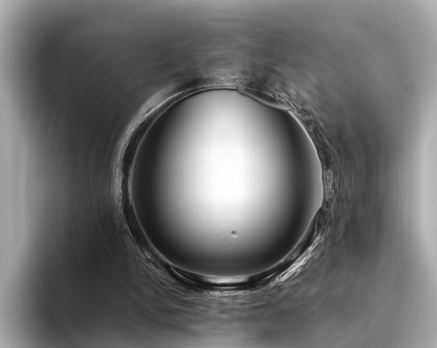 X0000094340150200711021457