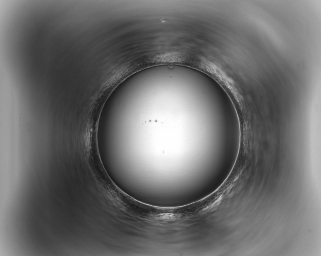X0000094340153200711021457