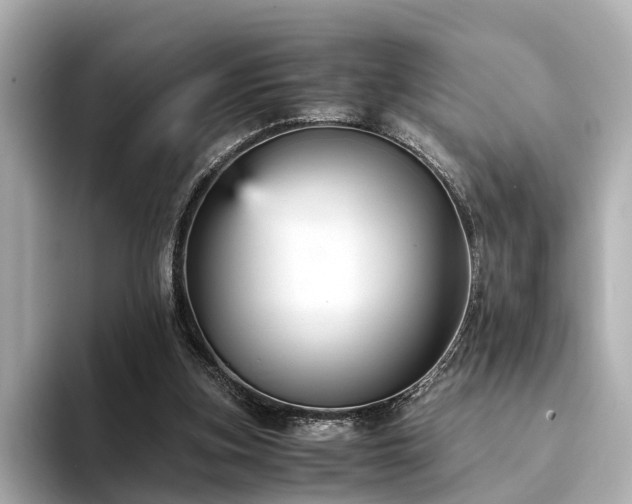 X0000094340155200711021457