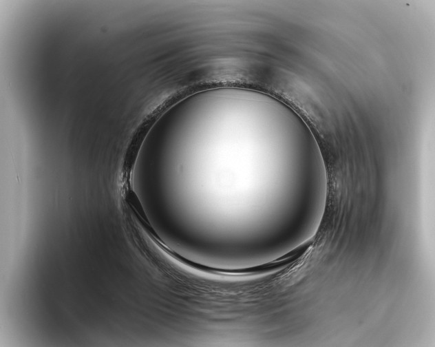 X0000094340160200711021457