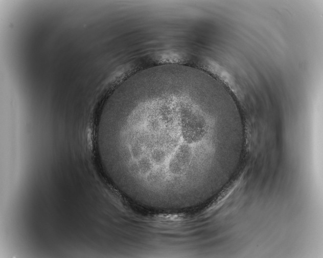 X0000094340161200711021457