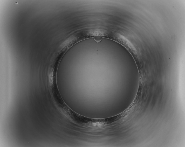 X0000094340163200711021457