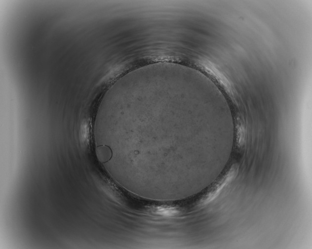 X0000094340165200711021457