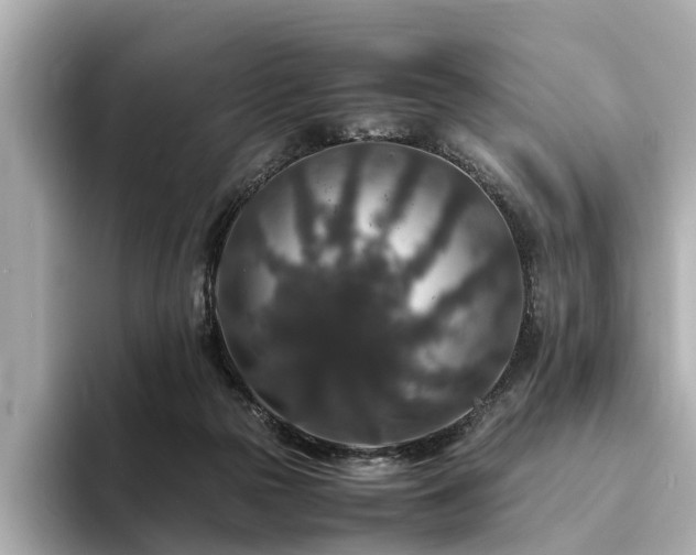X0000094340169200711021457