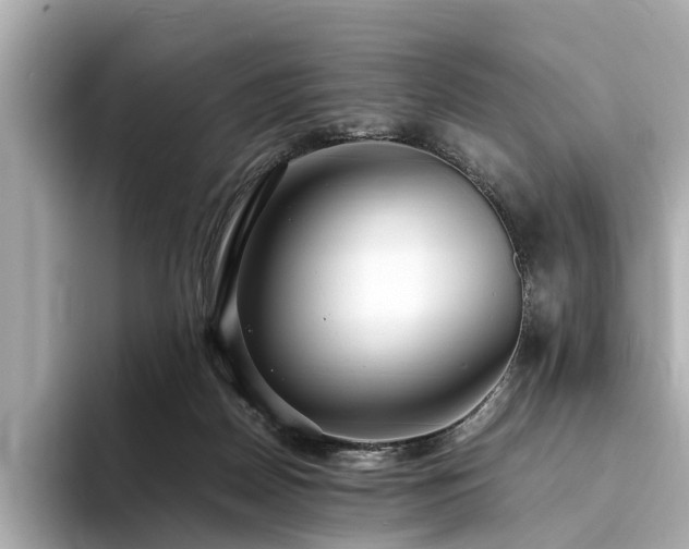 X0000094340170200711021457