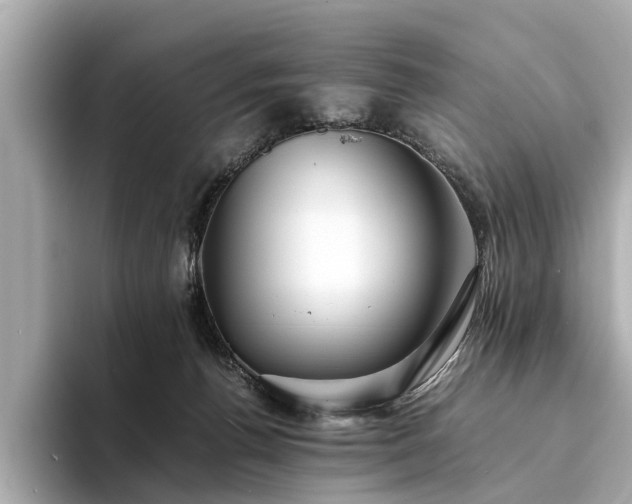 X0000094340176200711021457