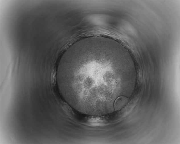 X0000094340177200711021457