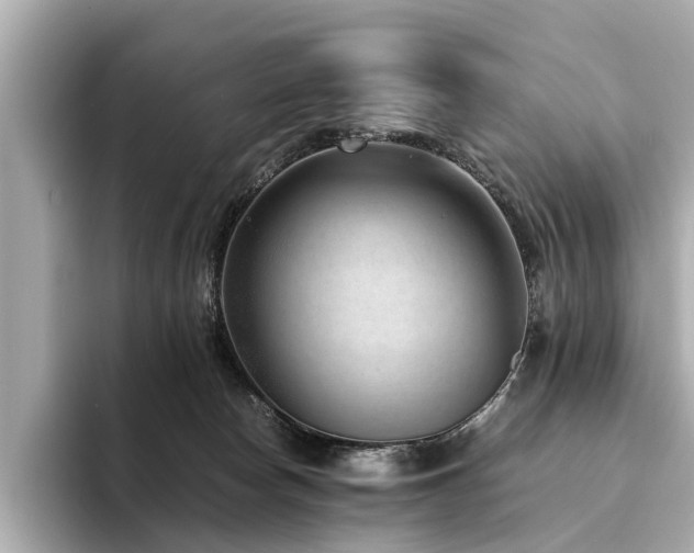 X0000094340178200711021457