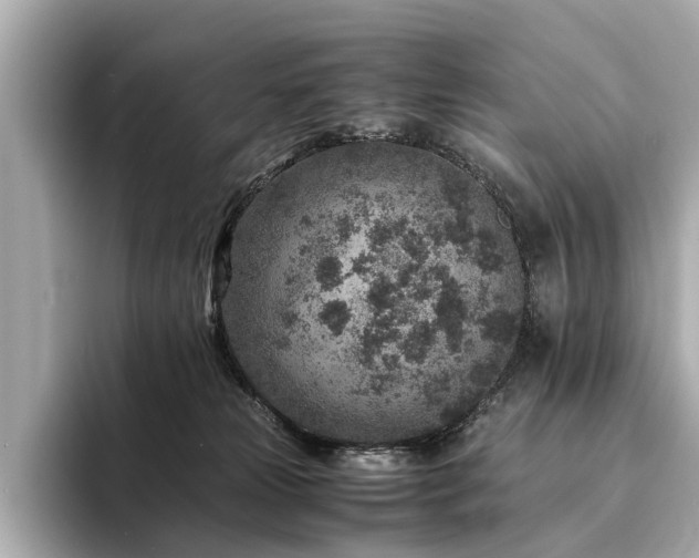 X0000094340181200711021457