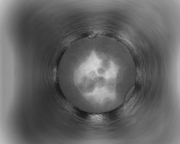 X0000094340189200711021457