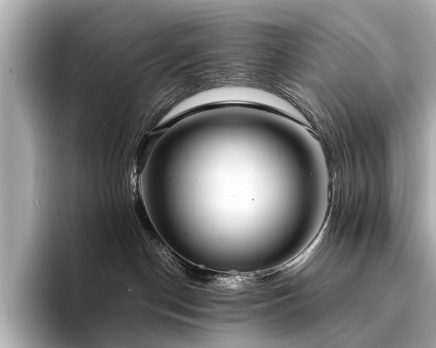 X0000094340190200711021457