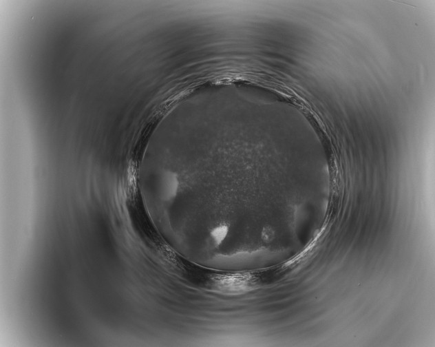 X0000094340191200711021457