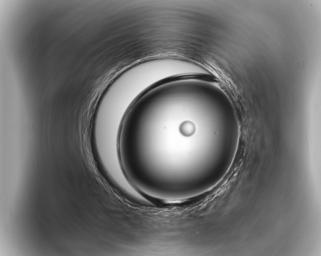 X0000094340193200711021457