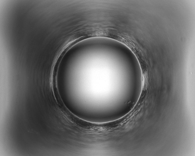 X0000094340195200711021457