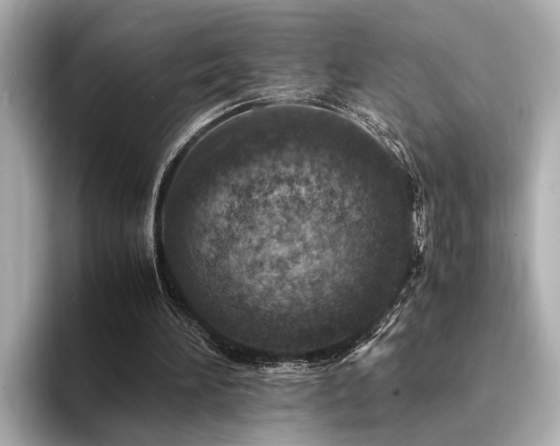 X0000094340196200711021457
