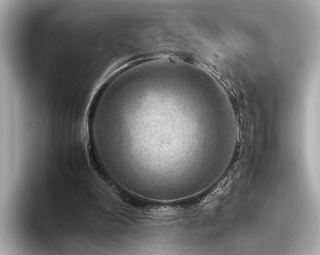 X0000094340198200711021457