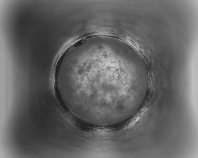 X0000094340199200711021457