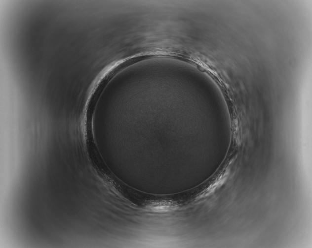 X0000094340200200711021457