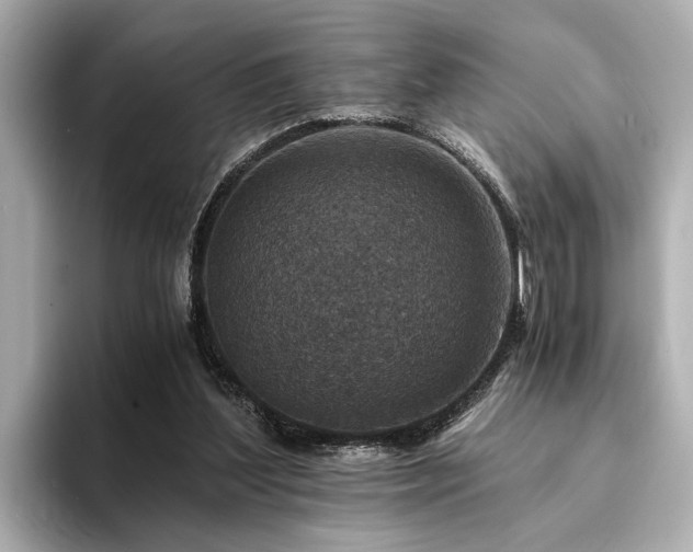X0000094340204200711021457