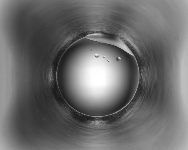 X0000094340212200711021456
