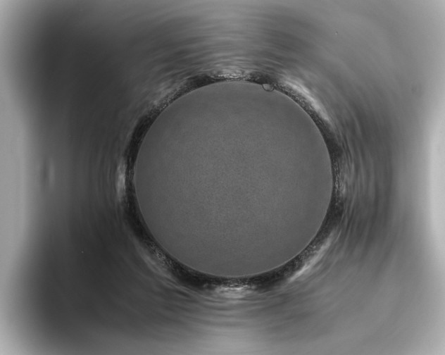 X0000094340213200711021456