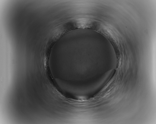 X0000094340219200711021456